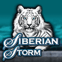 Slot Avatar